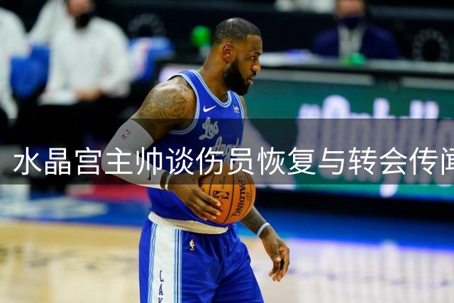 水晶宫主帅谈伤员恢复与转会传闻 马特塔留队前景乐观
